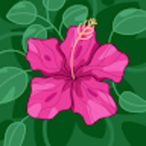 Meet your Posher, Olayide